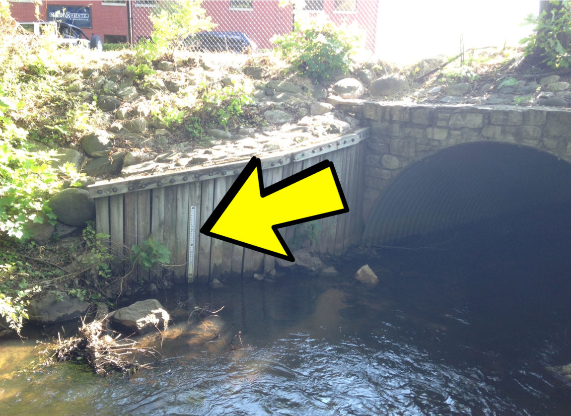 A Staff Gauge in Kid Creek is used to help determine how much of the "4 Corners" contamination plume is effecting surface water in Traverse City. The contamination comes from 4 regular gas stations. Michigan has approx. 40,000 active gas storage tank locations and approx 10,000 of them are leaking like "4 Corners". That's 25%. This is the #1 issue effecting ground water contamination with regard to oil & gas. RMP will be diving deeper in this topic in 2016.
A Staff Gauge in Kids Creek is used to help determine how much of the "4 Corners" contamination plume is effecting surface water in Traverse City. The contamination comes from 4 regular gas stations; the kind where you fill up your ICE vehicle every few hundred miles. Michigan has approx. 40,000 active gas storage tank rows listed on its database of USTs and approx 10,000 rows listed on the leaking tanks database of LUSTs like the four that leaked  at the "4 Corners" location. That means for every 4 rows on the USTs list, there is one row on the LUSTs list. This is far and away the #1 issue effecting ground water contamination with regard to oil & gas by number of incidents. RMP will be diving deeper in this topic in 2016 and building an interactive map of all 40,000 locations.  (Photo Credit: MDEQ)